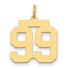 14k Medium Polished Number 99 Charm