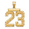 14k Large Brushed Diamond-cut Number 23 Charm