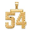 14k Large Brushed Diamond-cut Number 54 Charm