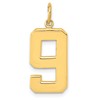14k Large Polished Number 9 Charm
