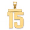 14k Large Polished Number 15 Charm