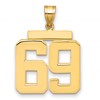 14k Large Polished Number 69 Charm