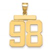 14k Large Polished Number 98 Charm