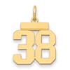 14k Small Polished Number 38 Charm