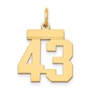 14k Small Polished Number 43 Charm