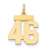 14k Small Polished Number 46 Charm
