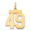 14k Small Polished Number 49 Charm