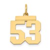 14k Small Polished Number 53 Charm