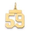 14k Small Polished Number 59 Charm