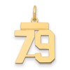 14k Small Polished Number 79 Charm