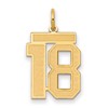 14k Medium Satin Number 18 Charm
