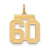 14k Medium Satin Number 60 Charm