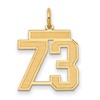 14k Medium Satin Number 73 Charm