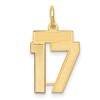 14k Small Satin Number 17 Charm