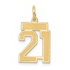 14k Small Satin Number 21 Charm