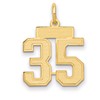 14k Small Satin Number 35 Charm