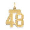 14k Small Satin Number 48 Charm