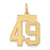 14k Small Satin Number 49 Charm