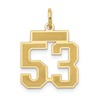 14k Small Satin Number 53 Charm