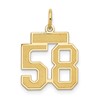 14k Small Satin Number 58 Charm