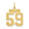 14k Small Satin Number 59 Charm