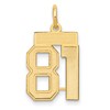 14k Small Satin Number 81 Charm