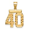 14k Medium Diamond-cut Number 40 Charm