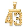 14k Medium Diamond-cut Number 43 Charm