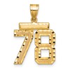 14k Medium Diamond-cut Number 78 Charm