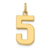 14k Medium Polished Number 5 Charm