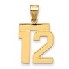 14k Medium Polished Number 12 Charm