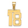 14k Medium Polished Number 18 Charm