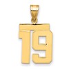 14k Medium Polished Number 19 Charm