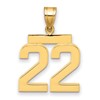 14k Medium Polished Number 22 Charm