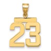 14k Medium Polished Number 23 Charm