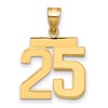 14k Medium Polished Number 25 Charm