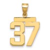 14k Medium Polished Number 37 Charm