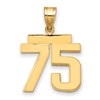14k Medium Polished Number 75 Charm