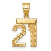 14k Small Brushed Diamond-cut Number 21 Charm