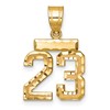 14k Small Brushed Diamond-cut Number 23 Charm