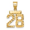 14k Small Brushed Diamond-cut Number 28 Charm