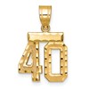 14k Small Brushed Diamond-cut Number 40 Charm