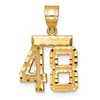14k Small Brushed Diamond-cut Number 48 Charm