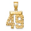 14k Small Brushed Diamond-cut Number 49 Charm
