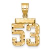 14k Small Brushed Diamond-cut Number 53 Charm