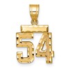 14k Small Brushed Diamond-cut Number 54 Charm