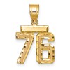 14k Small Brushed Diamond-cut Number 76 Charm