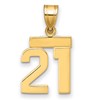 14k Small Polished Number 21 Charm