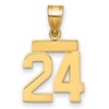 14k Small Polished Number 24 Charm