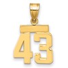 14k Small Polished Number 43 Charm